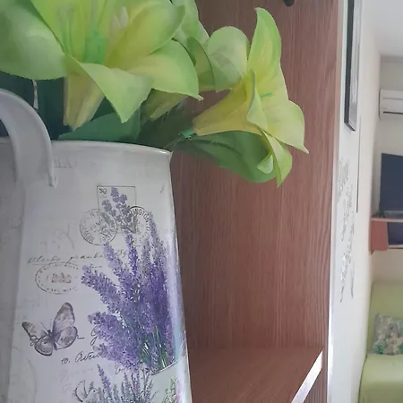 Apartment Matteo Supetarska Draga